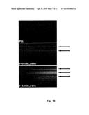 SWEPT SOURCE OCT SYSTEM AND METHOD WITH PHASE-LOCKED DETECTION diagram and image