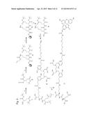 Double-Labeled Probe for Molecular Imaging and Use Thereof diagram and image