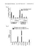 Double-Labeled Probe for Molecular Imaging and Use Thereof diagram and image