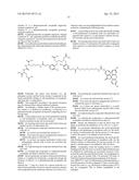 Double-Labeled Probe for Molecular Imaging and Use Thereof diagram and image