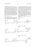 Double-Labeled Probe for Molecular Imaging and Use Thereof diagram and image