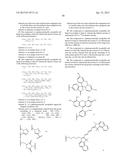 Double-Labeled Probe for Molecular Imaging and Use Thereof diagram and image