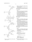 Double-Labeled Probe for Molecular Imaging and Use Thereof diagram and image