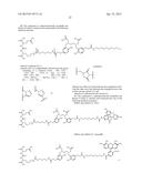 Double-Labeled Probe for Molecular Imaging and Use Thereof diagram and image