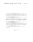 FLUORESCENT FUSION POLYPEPTIDES AND METHODS OF USE diagram and image