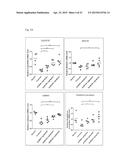 USES OF COMPOUNDS AND MIXTURES FROM ANTRODIA CINNAMOMEA MYCELIA diagram and image