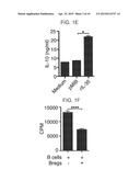 METHODS OF PRODUCING AND USING REGULATORY B-CELLS diagram and image