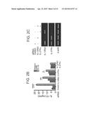 METHODS OF PRODUCING AND USING REGULATORY B-CELLS diagram and image