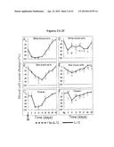 USES OF IL-12 AND THE IL-12 RECEPTOR POSITIVE CELL IN TISSUE REPAIR AND     REGENERATION diagram and image