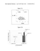 USES OF IL-12 AND THE IL-12 RECEPTOR POSITIVE CELL IN TISSUE REPAIR AND     REGENERATION diagram and image
