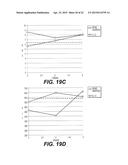 USES OF IL-12 AND THE IL-12 RECEPTOR POSITIVE CELL IN TISSUE REPAIR AND     REGENERATION diagram and image