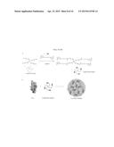 CARRIER-FREE BIOLOGICALLY-ACTIVE PROTEIN NANOSTRUCTURES diagram and image