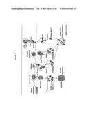 TLR-AGONIST-CONJUGATED ANTIBODY RECRUITING MOLECULES (TLR-ARMS) diagram and image