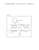 LONG LASTING DRUG FORMULATIONS diagram and image