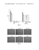 FILAMENTOUS BACTERIOPHAGE AS AN ANGIOGENESIS MODULATOR diagram and image