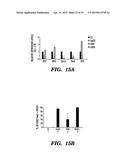 GENERATING PLURIPOTENT CELLS DE NOVO diagram and image