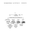 MAGNETIC EXTRACELLULAR MATRIX diagram and image