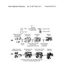 MAGNETIC EXTRACELLULAR MATRIX diagram and image