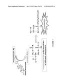 BIOMATRIX SCAFFOLDS diagram and image