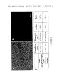 BIOMATRIX SCAFFOLDS diagram and image