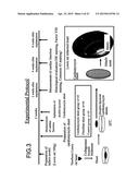 THREE-DIMENSIONAL TISSUE STRUCTURE diagram and image