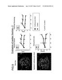 THREE-DIMENSIONAL TISSUE STRUCTURE diagram and image