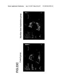 THREE-DIMENSIONAL TISSUE STRUCTURE diagram and image