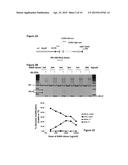 DELIVERY METHODS AND COMPOSITIONS FOR NUCLEASE-MEDIATED GENOME ENGINEERING diagram and image