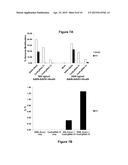 DELIVERY METHODS AND COMPOSITIONS FOR NUCLEASE-MEDIATED GENOME ENGINEERING diagram and image