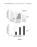 DELIVERY METHODS AND COMPOSITIONS FOR NUCLEASE-MEDIATED GENOME ENGINEERING diagram and image