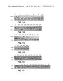 ENZYMES AND METHODS FOR CLEAVING N-GLYCANS FROM GLYCOPROTEINS diagram and image