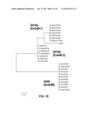 ENZYMES AND METHODS FOR CLEAVING N-GLYCANS FROM GLYCOPROTEINS diagram and image