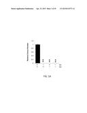 TARGETING THE GLUTAMINE TO PYRUVATE PATHWAY FOR TREATMENT OF ONCOGENIC     KRAS-ASSOCIATED CANCER diagram and image