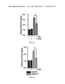 TARGETING THE GLUTAMINE TO PYRUVATE PATHWAY FOR TREATMENT OF ONCOGENIC     KRAS-ASSOCIATED CANCER diagram and image