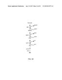 TARGETING THE GLUTAMINE TO PYRUVATE PATHWAY FOR TREATMENT OF ONCOGENIC     KRAS-ASSOCIATED CANCER diagram and image