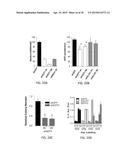 TARGETING THE GLUTAMINE TO PYRUVATE PATHWAY FOR TREATMENT OF ONCOGENIC     KRAS-ASSOCIATED CANCER diagram and image