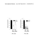 TARGETING THE GLUTAMINE TO PYRUVATE PATHWAY FOR TREATMENT OF ONCOGENIC     KRAS-ASSOCIATED CANCER diagram and image