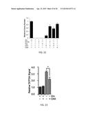 TARGETING THE GLUTAMINE TO PYRUVATE PATHWAY FOR TREATMENT OF ONCOGENIC     KRAS-ASSOCIATED CANCER diagram and image