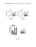 TARGETING THE GLUTAMINE TO PYRUVATE PATHWAY FOR TREATMENT OF ONCOGENIC     KRAS-ASSOCIATED CANCER diagram and image