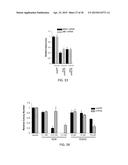 TARGETING THE GLUTAMINE TO PYRUVATE PATHWAY FOR TREATMENT OF ONCOGENIC     KRAS-ASSOCIATED CANCER diagram and image