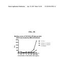 COMPOSITIONS AND METHODS RELATED TO THE PREVENTION AND TREATMENT OF RABIES     INFECTION diagram and image