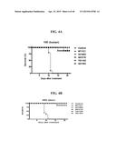 COMPOSITIONS AND METHODS RELATED TO THE PREVENTION AND TREATMENT OF RABIES     INFECTION diagram and image