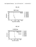 COMPOSITIONS AND METHODS RELATED TO THE PREVENTION AND TREATMENT OF RABIES     INFECTION diagram and image