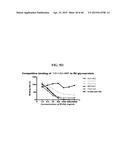 COMPOSITIONS AND METHODS RELATED TO THE PREVENTION AND TREATMENT OF RABIES     INFECTION diagram and image