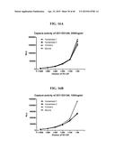 COMPOSITIONS AND METHODS RELATED TO THE PREVENTION AND TREATMENT OF RABIES     INFECTION diagram and image