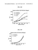 COMPOSITIONS AND METHODS RELATED TO THE PREVENTION AND TREATMENT OF RABIES     INFECTION diagram and image