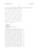 COMPOSITIONS AND METHODS RELATED TO THE PREVENTION AND TREATMENT OF RABIES     INFECTION diagram and image