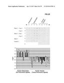 Methods of impairing osteoclast differentiation using antibodies that bind     Siglec-15 diagram and image