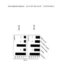 COMPOSITIONS FOR INHIBITION OF QUIESCIN SULFHYDRYL OXIDASE (QSOX1) AND     USES OF SAME diagram and image