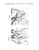 COMPOSITIONS FOR INHIBITION OF QUIESCIN SULFHYDRYL OXIDASE (QSOX1) AND     USES OF SAME diagram and image